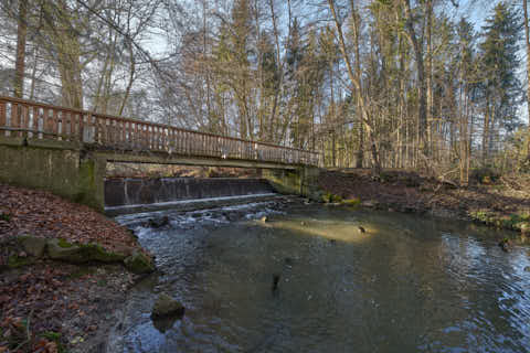 Gemeinde Eggenfelden Landkreis Rottal-Inn Gern Lichtlberger Wald (Dirschl Johann) Deutschland PAN